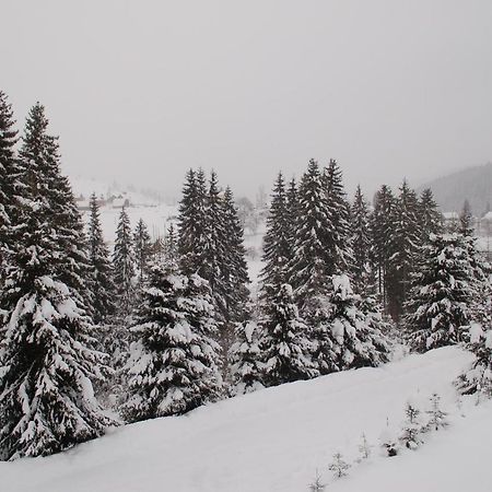 Gutsulwood Villa Jablunicja Kültér fotó