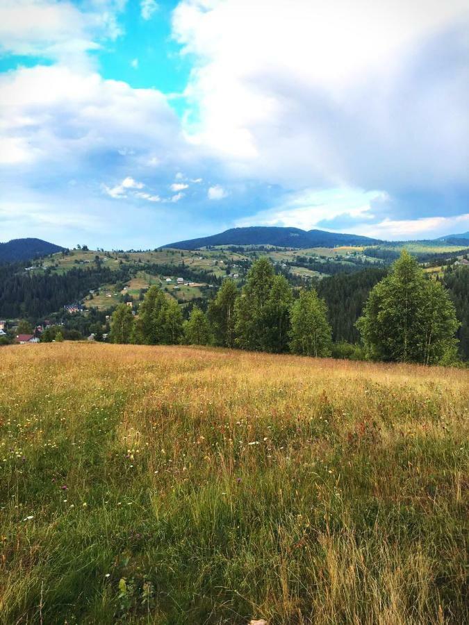 Gutsulwood Villa Jablunicja Kültér fotó