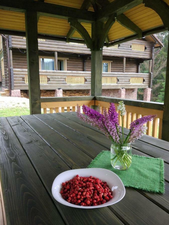 Gutsulwood Villa Jablunicja Kültér fotó