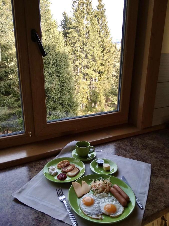 Gutsulwood Villa Jablunicja Kültér fotó